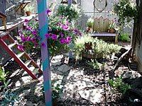 Author's Cat Enclosure