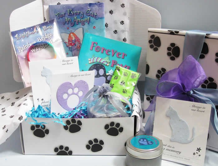Cat-Gift-Box