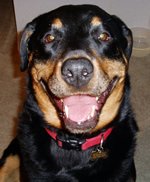 Bennie